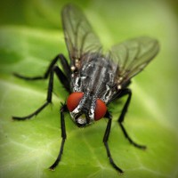 /album/snowisachria/photolia-a01-jpg/