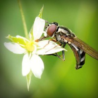 /album/snowisachria/photolia-a02-jpg/