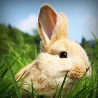 /album/snowisachria/photolia-a03-jpg/