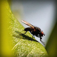 /album/snowisachria/photolia-a04-jpg/