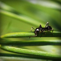 /album/snowisachria/photolia-a05-jpg/