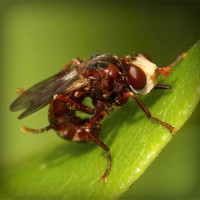 /album/snowisachria/photolia-a06-jpg/