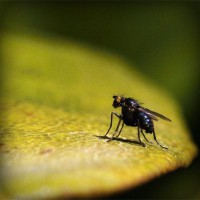 /album/snowisachria/photolia-a07-jpg/