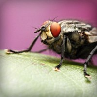 /album/snowisachria/photolia-a08-jpg/